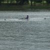 DSC07176